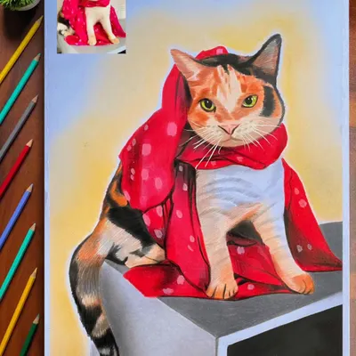 This stylish cat wearing a red dupatta was a fun A4 commission. I used colored pencils to capture her unique calico markings and her very poised expression.