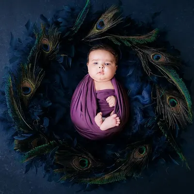 Our newborn photography is all about capturing delicate details. Here, a peacefully swaddled baby is nestled in a wreath of peacock feathers, creating a unique and artistic portrait.