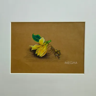 A detailed colored pencil drawing of a Champaka flower, with a visiting insect. I used a live flower as a reference to capture its vibrant yellow hue and delicate form on brown paper.