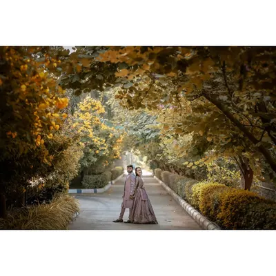 A romantic portrait of a couple walking hand-in-hand down a beautiful, tree-lined path. This kind of natural setting makes for timeless pre-wedding photography.