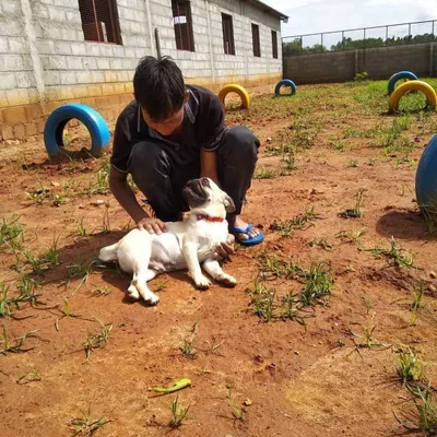 A clean pup is a happy pup. After his grooming session, this little Pug is enjoying some relaxing one-on-one time with our staff in the open play area. We believe a stress-free environment is just as important as the groom itself.
