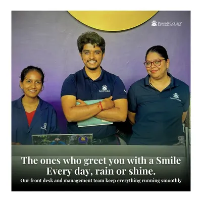 The ones who greet you with a smile, every day, rain or shine. Our front desk and management team are the friendly faces who keep everything running smoothly and welcome you into the PawsnCollars family.