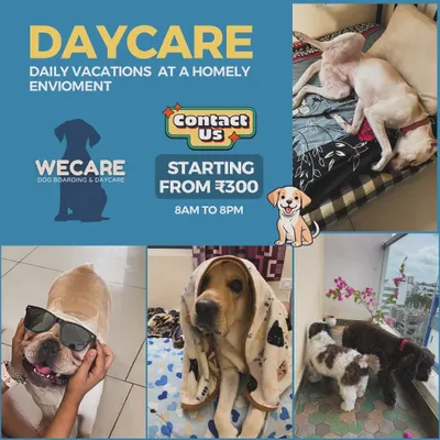 Our daycare service is perfect for when you have a long day at work. We're open from 8am to 8pm for a full day of fun.