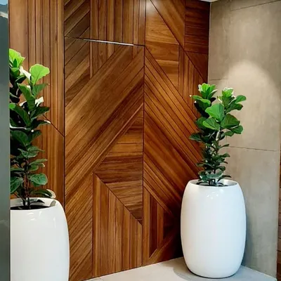 For this modern automation studio, I selected Fiddle Leaf Fig trees in sleek white planters. The vertical form of the plants enhances the height of the room and provides a natural counterpoint to the geometric wooden wall feature.