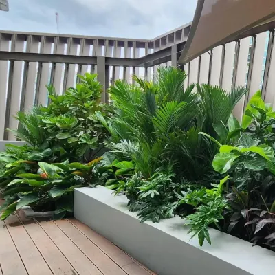 A rooftop garden using raised planters filled with a variety of lush, leafy plants. This method allows for complex planting on surfaces where in-ground planting isn't possible.