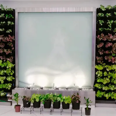 We designed this serene entrance by framing a modern water feature with two symmetrical vertical gardens. This installation transforms a simple wall into a living work of art, creating a calming and impressive welcome for visitors and employees. The combination of lush greenery and gentle water sounds promotes a tranquil atmosphere.