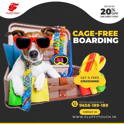 Going on a vacation? We've got your back! Our cage-free pet boarding ensures your furry friend has a blast in a safe, home-like environment while you relax. Plus, first-time boarders get 20% off and a complimentary grooming session!