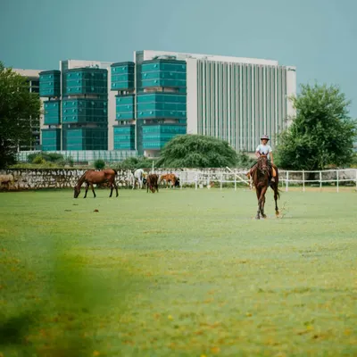 A rider enjoys our expansive green field, with horses grazing peacefully against the backdrop of the Gurugram skyline. It's the best of both worlds.