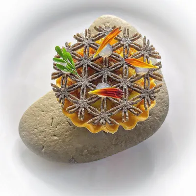 A signature amuse-bouche: a delicate corn tartlet with a chicken fat corn crema and crispy chicken skin, served on a stone for a natural presentation.