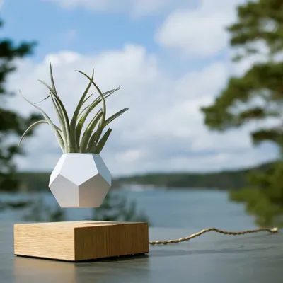 Our FLYTE Lyfe Planter levitates and rotates gently, giving your air plant 360-degree sun exposure. This piece combines nature with technology, creating a truly magical focal point for any modern space.