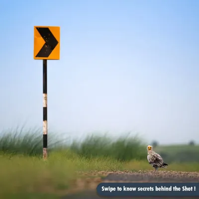 This is the first post in my "Secrets Behind the Shots" series. I'll take you behind the scenes to show the challenges, techniques, and stories that go into creating a single photograph.