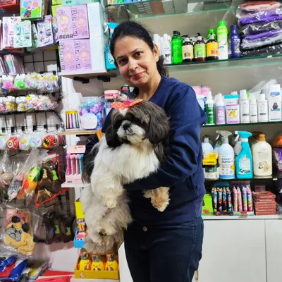 A beautiful Shih Tzu with a cute bow, looking picture perfect after her grooming session. Her owner is holding her in our store, surrounded by shelves of pet care products.