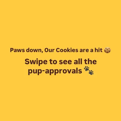 A simple and true statement from one of my social media posts. My cookies are a definite hit, and the pup-approvals just keep coming in!