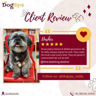 Dasher's family left this wonderful review, and I couldn't be happier. Knowing that my clients appreciate my patient approach and customized haircuts means the world to me.