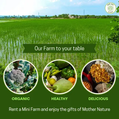 This is our promise: organic, healthy, and delicious food from our farm to your table. We handle the entire process, so you can enjoy the gifts of Mother Nature without any of the work.