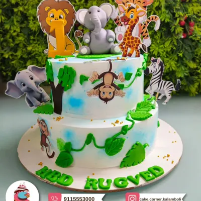 A wild two-tier jungle theme cake for Rugved's birthday. It's full of friendly animals like a lion, elephant, monkey, and zebra, perfect for a little explorer.