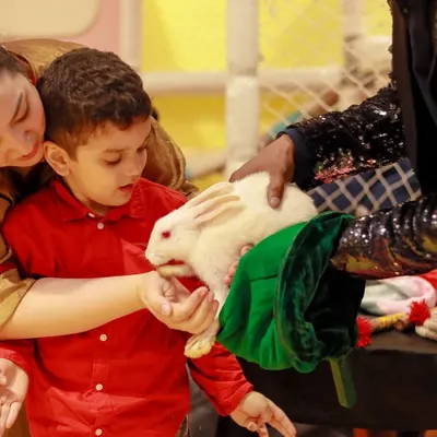 The wonder of magic. A child gets to interact with a real rabbit during our magic show, a gentle and awe-inspiring experience they will never forget.