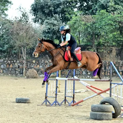 A rider and her horse in perfect sync, clearing an obstacle during a training session. I focus on building this kind of confident partnership for all my show jumping students.