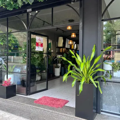 The entrance to our new store at Vertex Treo, Kadri. We have designed the space to be welcoming, with large planters like this Bird of Paradise in a black fibre pot greeting you at the door.