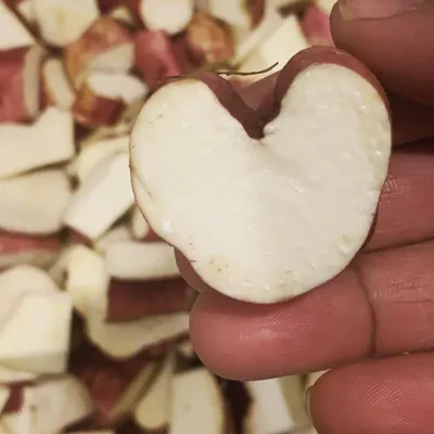 Sometimes you find love in the simplest ingredients. I found this perfectly heart-shaped sweet potato while prepping a batch of food, and it felt like a sign.