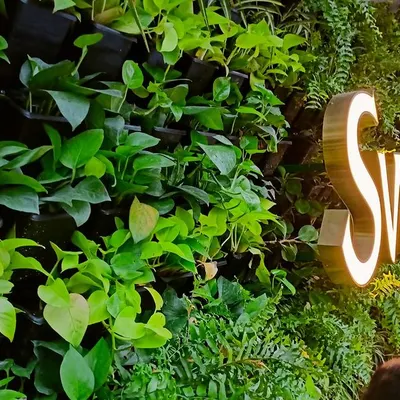A close-up of the lush vertical garden at Swathi Gardenia. We used a variety of green foliage plants like money plants and ferns to create a rich texture and a vibrant, living wall that thrives in an urban environment.