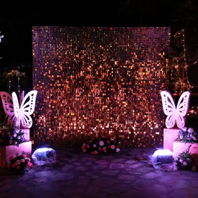 A shimmering sequin wall that creates a dynamic and glamorous photo backdrop. For this event, I added large, illuminated butterfly cutouts and floral boxes to frame the space, making it perfect for an evening party.