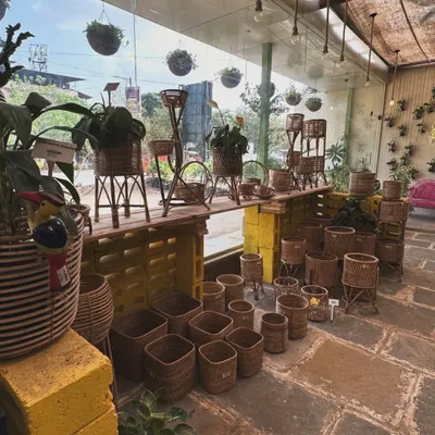 Transform your green space with our wide range of plant accessories. This collection of wicker and cane baskets adds a natural, bohemian touch to any plant.
