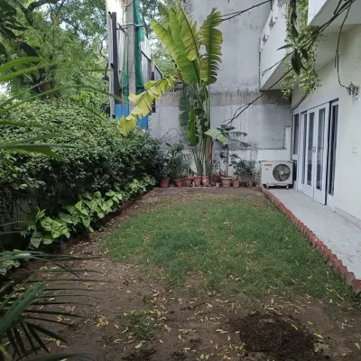 This was the starting point for a residential garden project. The lawn was patchy and uneven, in need of a complete overhaul to become a usable family space.