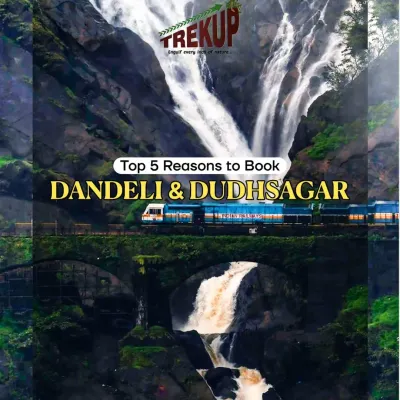 The ultimate weekend escape: a stunning view of the Dudhsagar waterfalls with the iconic train bridge passing in front of it.