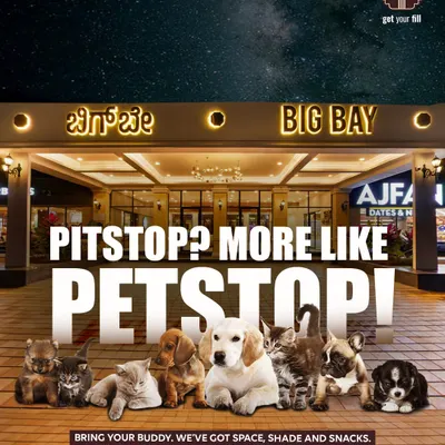 We're more than a pitstop, we're a PETSTOP. This image, featuring a group of adorable dogs and cats, announces our commitment to being a welcoming place for your furry buddies.