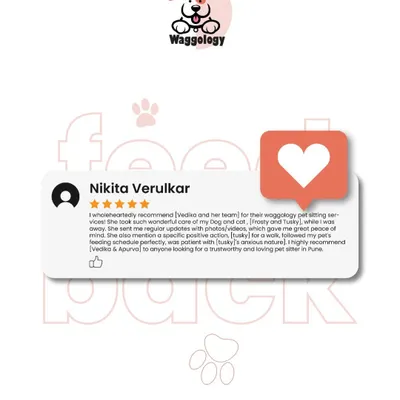 Thank you, Nikita, for your kind words. Caring for Frosty and Tusky was a pleasure. Providing regular updates with photos and videos is a standard part of my service, as I know it brings great peace of mind to pet parents.