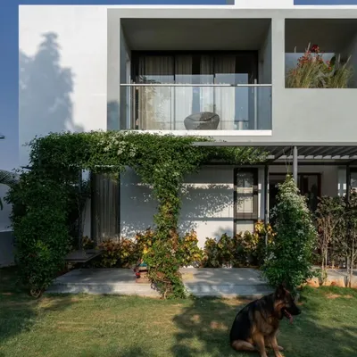 The rear facade of the SAMAM house, showing the direct connection between the living spaces and the dedicated garden area for the family's dogs. The design prioritizes easy indoor-outdoor access for both people and pets.