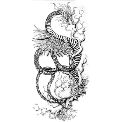 A full sleeve concept for a tattoo, featuring a hybrid dragon and snake creature. I design these long-form pieces to wrap around a limb, telling a story that moves with the body.