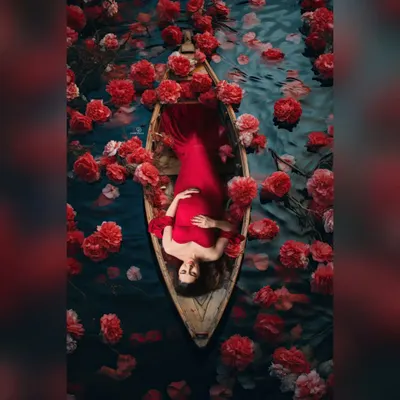 A breathtaking overhead shot of a mom-to-be in a red gown, floating in a boat filled with matching red flowers. This is a highly artistic and memorable concept for a maternity shoot.