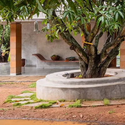 The design of Aamra began with the existing mango trees, which we carefully built around. The house sits gently in the landscape, with a circular plinth honoring the central tree, making nature the true protagonist of the space.