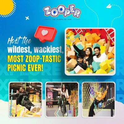 Host the wildest, wackiest, most Zoop-tastic picnic ever. Our park is the perfect venue for any group event, offering a mix of adventure and fun.