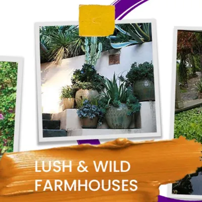 I design lush and wild landscapes for farmhouses that feel both natural and intentional. This style often involves using a mix of succulents, cacti, and native plants in large, artisanal pots to create a rugged yet beautiful aesthetic.