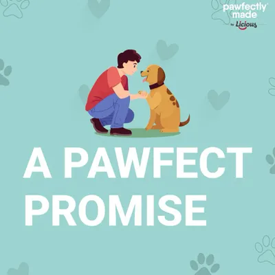 We make a pawfect promise to you and your pet. Quality, safety, and taste are at the heart of everything we do.