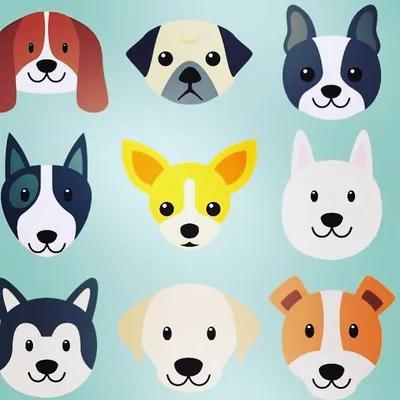 Can you guess these dog breeds? This graphic is a fun way to test your knowledge. We believe that learning about different breeds is the first step toward finding the perfect dog for your family.