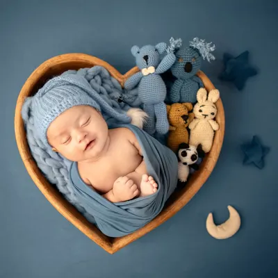 A sweet newborn sleeps soundly in a heart-shaped wooden bowl, surrounded by cozy blue-themed props and tiny stuffed animals. This classic pose highlights their peaceful innocence.