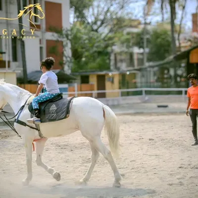 A young rider learns the basics in our arena. Our instructor is always close by to guide and ensure a safe, positive experience for every child.