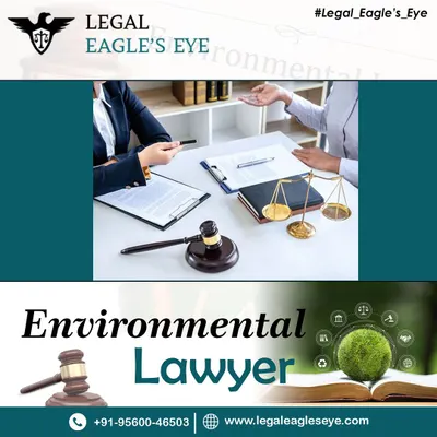 This image, featuring a discussion about environmental law, reflects our dedication to a greener future. We tackle critical issues like clean air, water conservation, and wildlife protection, providing legal support to safeguard our planet.