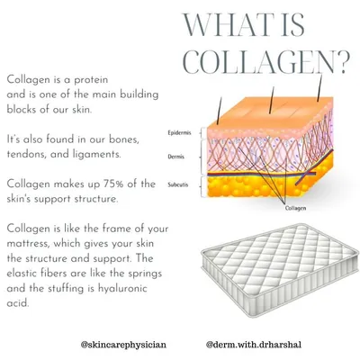 Collagen is the primary building block of our skin, providing structure and support. This diagram illustrates its crucial role within the skin's layers, acting like a frame to keep it firm and youthful.
