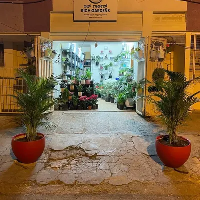 My store all lit up at night, ready to welcome you. I love how the two large palms in bright red pots stand guard at the entrance, inviting everyone into our little green world.