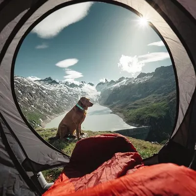 Your best friend deserves an adventure too. Many of my handpicked locations are pet-friendly, offering wide-open spaces for them to explore. This is the view from a tent, with a happy companion enjoying the magnificent alpine lake scenery.