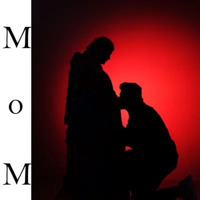 A dramatic and artistic silhouette of a man kneeling to kiss his partner's baby bump. This maternity photo captures the love and anticipation of parenthood in a powerful, visual way.