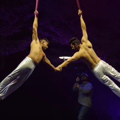 A moment of connection during a duo aerial silks performance. These acts are built on complete trust and communication, allowing us to create powerful shapes and movements together in the air.