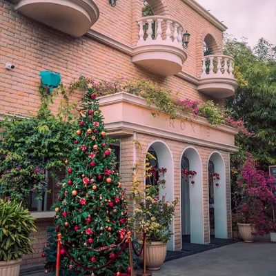 Christmas at the mansion. The entrance is adorned with a beautiful tree and festive decorations, welcoming guests into a European-inspired winter wonderland right here in Bangalore.