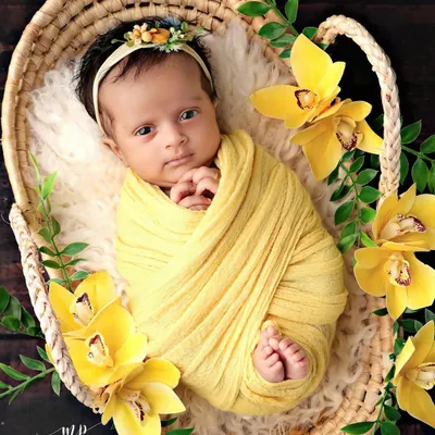 This curious little one is looking right at the camera from her cozy basket. We love capturing both sleepy and awake moments during our newborn sessions.