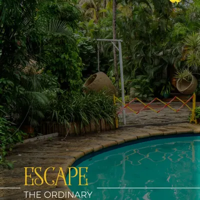 Escape the ordinary by our serene, free-form swimming pool. Surrounded by lush greenery, it’s the perfect place to cool off, relax, and let your worries float away.